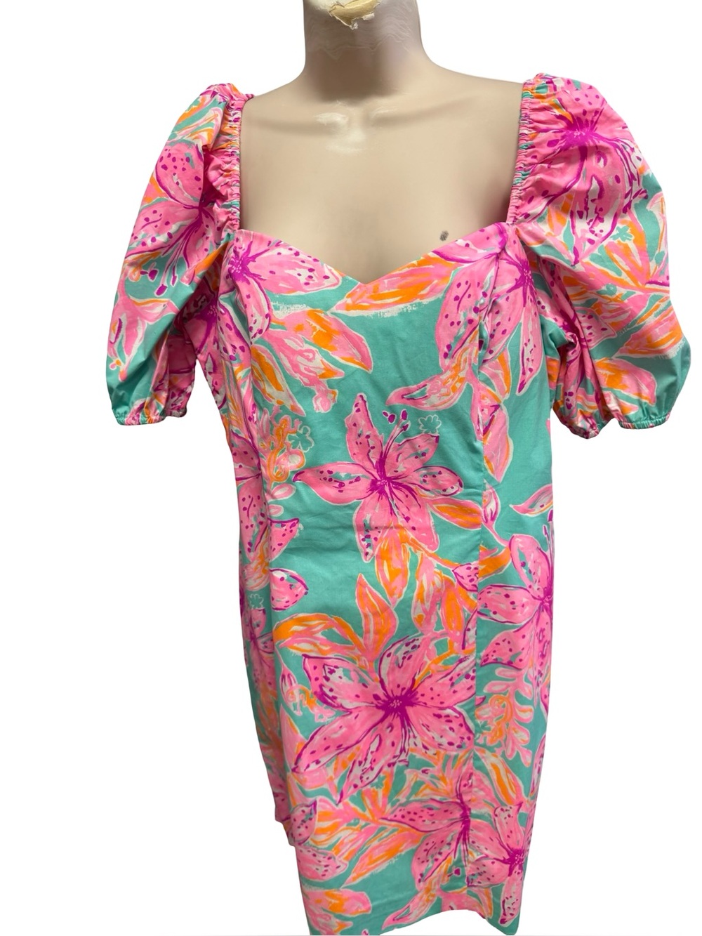 1651R / Lilly Pulitzer Lunetta Short Sleeve Floral Dress Size 14 NWT